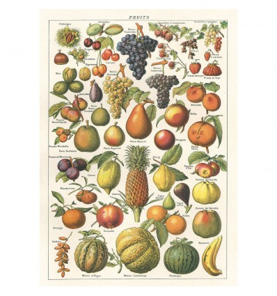 Affiche pédagogique fruits - Cavallini