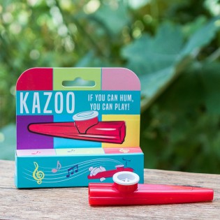 Kazoo instrument de musique - Rex
