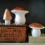 Lampe veilleuse champignon Cuivre (L) - Egmont Toys