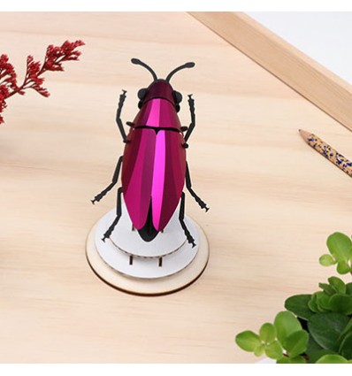 Insecte DIY Jewel Beetle Rose - Assembli