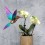 Oiseau DIY Colibri Vert & Violet - Assembli