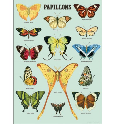 Affiche Papillons Fond Bleu - Cavallini & Co