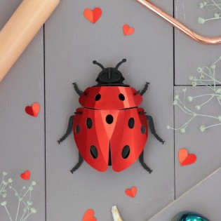 Insecte DIY Coccinelle - Assembli