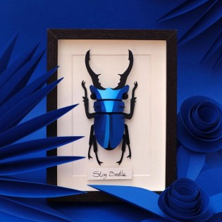 Insecte DIY Stag beetle bleu métallique - Assembli