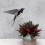 Hirondelle DIY Paper Swallow - Assembli