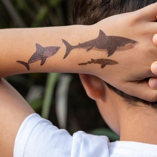 Tatouages temporaires Requins - Rex London