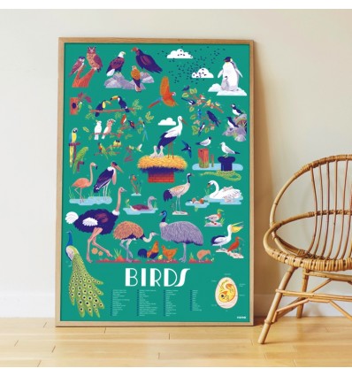 Poster & stickers Oiseaux - Poppik