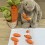 6 surligneurs carottes