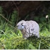 Eugy puzzle Mouton 3D en carton