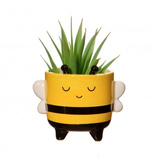 Mini pot pour plante abeille - Sass & Belle