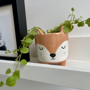 Mini pot pour plante renard - Sass & Belle
