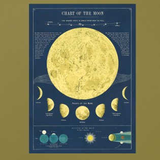 Affiche phases de la Lune - Cavallini & Co