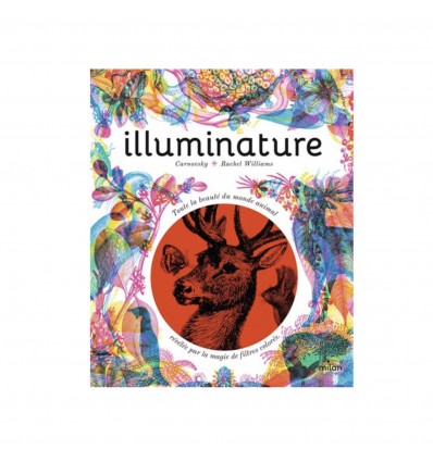 Illuminature - Milan