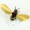 Abeille DIY Honey Bee dorée - Assembli