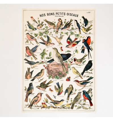 Affiche Oiseaux rétro vintage - Cavallini & Co